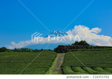 [靜岡縣]富士山和茶田的藍天風景 118355702
