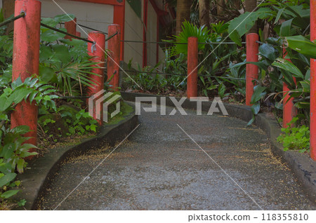 神社境內的散步道 神社境內的散步道 118355810