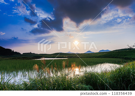 Evening scenery of the Soni Plateau in 2024, where the silver grass has just begun to emerge. The silver grass shines beautifully in golden light in the setting sun. Evening scenery of the Soni Plateau in 2024, where the silver grass has just begun to emerge. The silver grass shines beautifully in golden light in the setting sun. 118356439