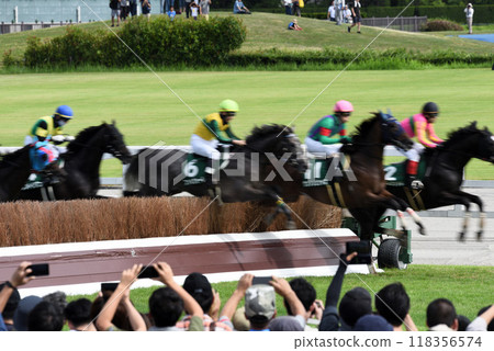 Autumn Chukyo Steeplechase 118356574