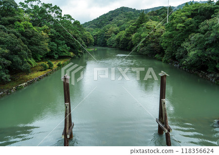 Isuzu River Tree Removal Pile 118356624