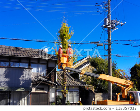 Construction work underway to cut down roadside trees that were hanging over power lines 118357032