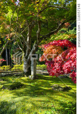 奈良初瀨長谷寺三層塔遺址 奈良初瀨長谷寺三層塔遺址 118357148