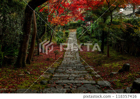 Autumn scenery at Ryoanji Temple in Kyoto 118357416