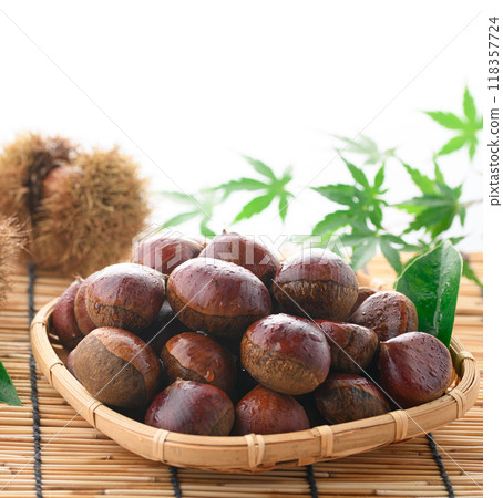 秋天的味道栗子 秋天的味道栗子 118357724