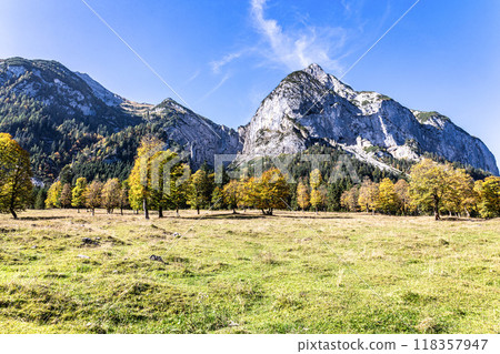 maple trees at Ahornboden, Karwendel mountains, Tyrol, Austria 118357947
