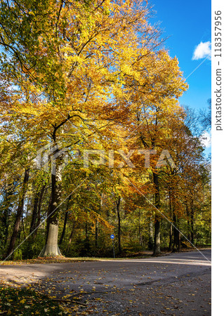 Golden autumn view in famous Munich relax place - Englischer Garten. Munich, Bavaria, Germany Golden autumn view in famous Munich relax place - Englischer Garten. Munich, Bavaria, Germany 118357956