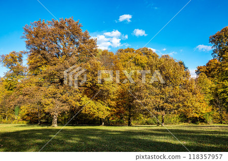 Golden autumn view in famous Munich relax place - Englischer Garten. Munich, Bavaria, Germany Golden autumn view in famous Munich relax place - Englischer Garten. Munich, Bavaria, Germany 118357957