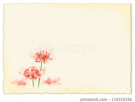 Watercolor illustration of spider lilies and red spider lilies, framed with Japanese paper 118358198