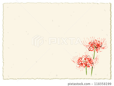 Watercolor illustration of spider lilies and red spider lilies, framed with Japanese paper 118358199