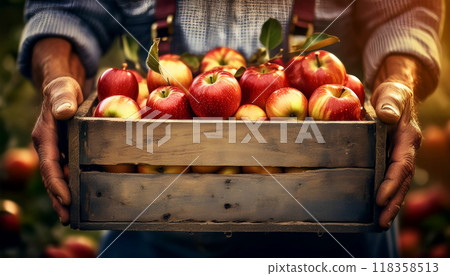 Wrinkled Hands of a Farmer Holding a Wooden Crate Full of Ripe Apples - Generative Ai Wrinkled Hands of a Farmer Holding a Wooden Crate Full of Ripe Apples - Generative Ai 118358513