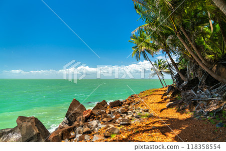 Palms along the coast of Saint Joseph Island, one of Salvation Islands in French Guiana, South America 118358554