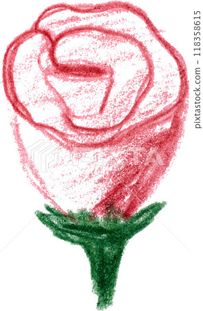 Rosebud, red pencil shading on isolated background 118358615