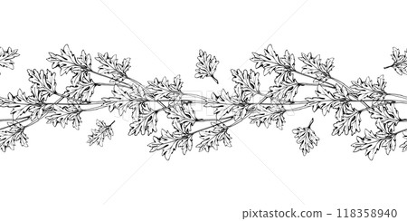 Coriander parsley herb green leaves. Diet, healthy lifestyle, vegan cooking. Hand drawn vector ink. Illustration seamless border isolated on white background. Design recipe book, website, card, menu Coriander parsley herb green leaves. Diet, healthy lifestyle, vegan cooking. Hand drawn vector ink. Illustration seamless border isolated on white background. Design recipe book, website, card, menu 118358940