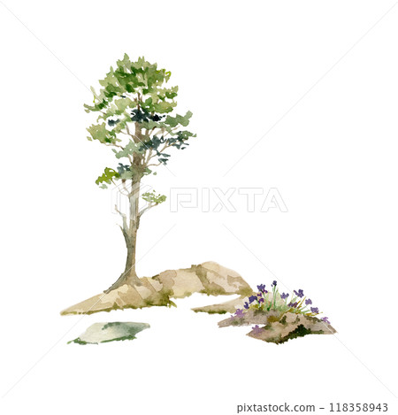 Scenery landscape of forest meadow grassland with bushes flowers, pine spruce tree alpine vista rocks hand drawn in watercolor. Illustration for tourism, resort ads, hiking camping sites vacation. Scenery landscape of forest meadow grassland with bushes flowers, pine spruce tree alpine vista rocks hand drawn in watercolor. Illustration for tourism, resort ads, hiking camping sites vacation. 118358943