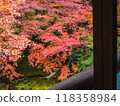 從木造建築看秋葉 118358984