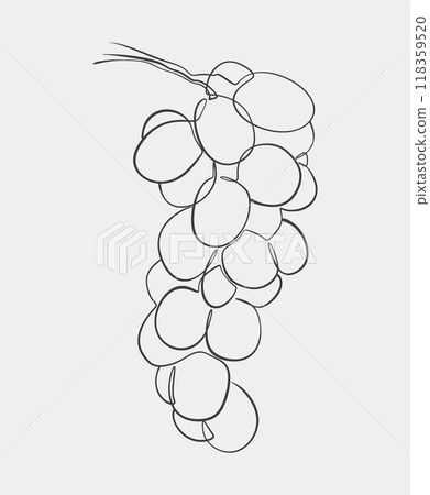Minimalist line drawing of grape bunch Minimalist line drawing of grape bunch 118359520