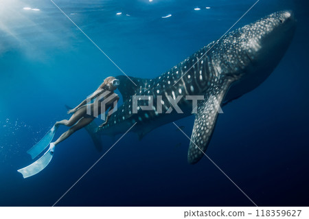 Freediver woman swims underwater with whale shark in blue ocean. Snorkeling girl and shark underwater Freediver woman swims underwater with whale shark in blue ocean. Snorkeling girl and shark underwater 118359627