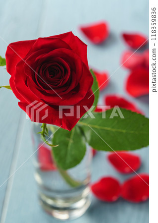 closeup red rose on blue wood table in glass 118359836