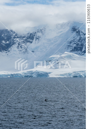 Antarctic landscape near Anvers Island Antarctic landscape near Anvers Island 118360633