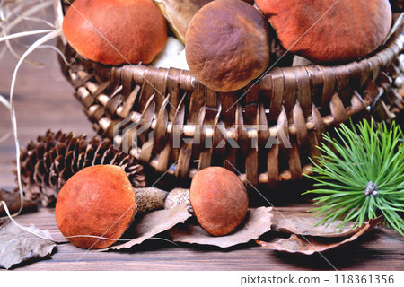 Edible mushrooms, porcini and boletus in a wicker basket on a natural wooden background 118361356