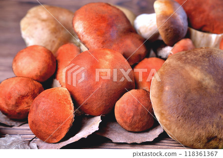 Edible mushrooms, porcini and boletus on a natural wooden background 118361367