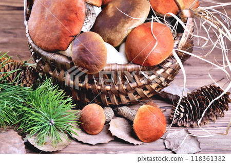 Edible mushrooms, porcini and boletus in a wicker basket on a natural wooden background soft focus Edible mushrooms, porcini and boletus in a wicker basket on a natural wooden background soft focus 118361382