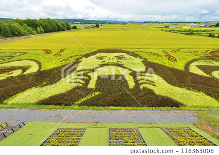 Rice field art in Hokkaido 118363008