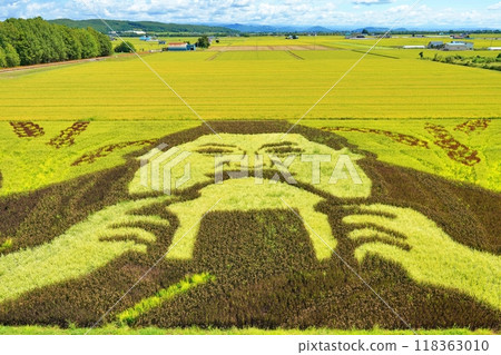 北海道稻田藝術景觀 118363010
