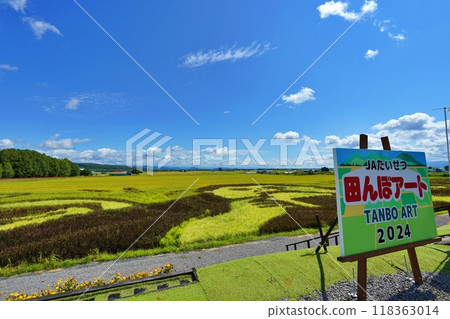 北海道稻田藝術景觀 118363014