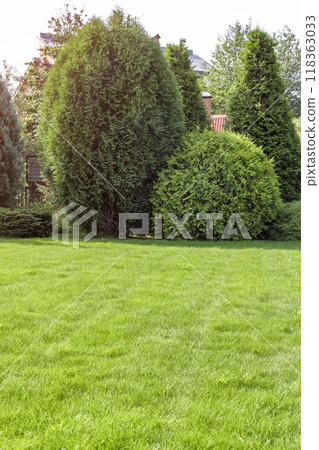 Freshly cut grass Freshly cut grass 118363033