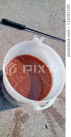 當我冷凍剩下的磷蝦時,它被凍傷了,但我不想浪費它,所以我把它重新水化並用它作為魚餌。 當我冷凍剩下的磷蝦時,它被凍傷了,但我不想浪費它,所以我把它重新水化並用它作為魚餌。 118363100