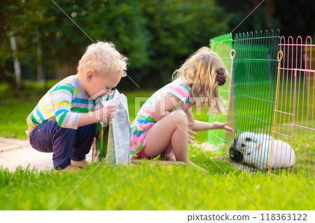 Kids feed rabbit in sunny garden 118363122