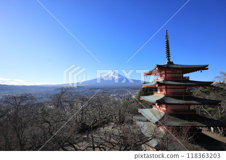 Mount Fuji and the Five-Story Pagoda from Arakurayama Sengen Park (Yamanashi) 118363203