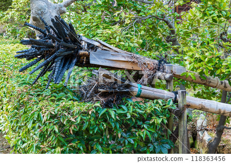 Nara Prefecture, Todaiji Temple, Nigatsudo Hall, remains of a torch used to light the way for the monks 118363456