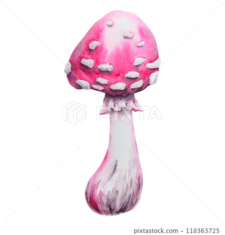 Pink fly agaric, poisonous mushroom. Watercolor hand drawn illustration. Amanita muscaria clip art for Halloween cards, fairy tales, books. Attribute of witches' sabbath, esotericism, magical forest Pink fly agaric, poisonous mushroom. Watercolor hand drawn illustration. Amanita muscaria clip art for Halloween cards, fairy tales, books. Attribute of witches' sabbath, esotericism, magical forest 118363725