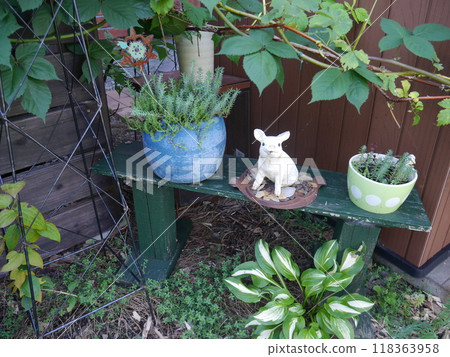 A garden accented with succulents 118363958