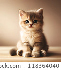 A cute fluffy kitten is sitting there 118364040