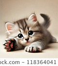 Lying kitten paws 118364041