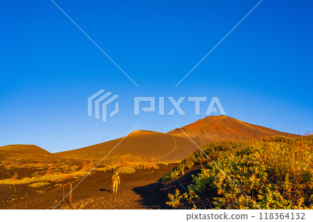 [靜岡縣]黎明時從御殿口登山道登頂的富士山登山者 118364132