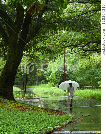A young elementary school girl walking in a park on a rainy summer day A young elementary school girl walking in a park on a rainy summer day 118364316