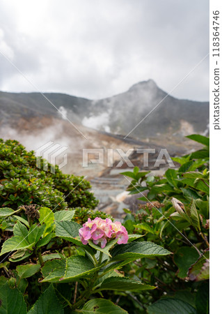 Hakone Ropeway Hakone Ropeway 118364746