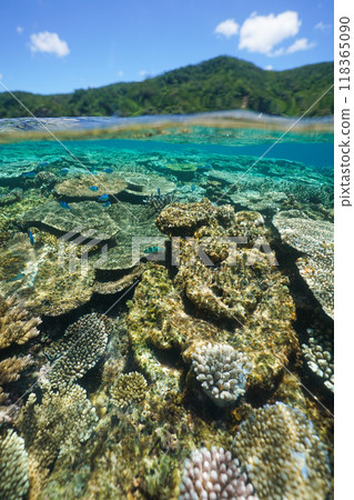 Beautiful coral reefs and tropical fish on Zamami Island in Okinawa Beautiful coral reefs and tropical fish on Zamami Island in Okinawa 118365090