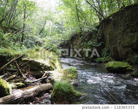 樽前狼王的美麗風景 118365355