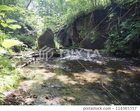 樽前狼王的美麗風景 樽前狼王的美麗風景 118365357