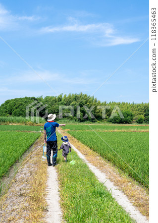 一對父子來到稻田間的小路上調查生物。 118365463