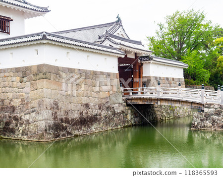 Beautiful and solemn view of the ruins of Sunpu Castle: Higashimikado Bridge 118365593