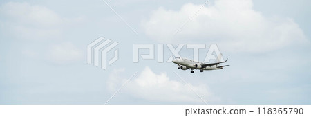 在伊丹機場的飛機著陸 在伊丹機場的飛機著陸 118365790