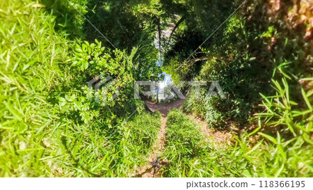 360-degree photo: The mysterious world of Little Planet: A light-filled walk through the forest in summer 118366195