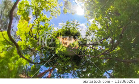 360度照片：小星球的神祕世界：夏日森林裡充滿光線的步道 118366202